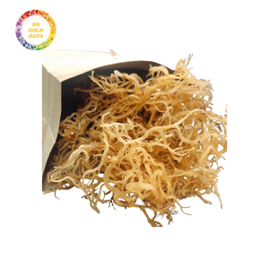 Musgo salvaje del mar de Irlanda de alta calidad sin sal recolectado directamente de Vietnam - Product Image 6