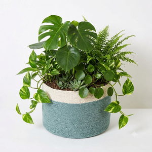 Vintage Seagrass Woven Planter Irregular Striped <b>Plant</b> Pot for Home Indoor Outdoor Garden <b>Decor</b> <b>Flower</b> Pots & Planters - Product Image 3