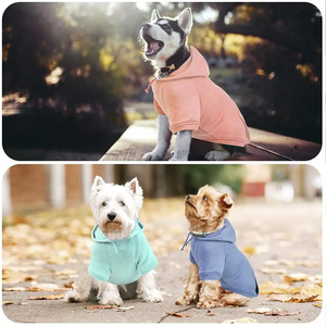 Sweat-shirts pour chien en coton léger de haute qualité, design pliable, vêtements de luxe pour animaux de compagnie sur le thème d'Halloween, style respirant et mignon - Product Image 5