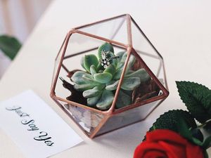Nouveau terrarium de conception géométrique de qualité de luxe avec verre pour la décoration de la maison et du jardin personnalisable pour la décoration de la maison - Product Image 5
