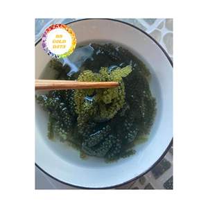 Uvas marinas Vietnam Caviar verde natural Algas marinas Superalimento saludable para la preparación de ensaladas Venta al por mayor Exportación y mercados minoristas - Product Image 5