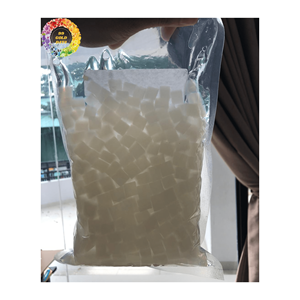 Nata de coco de haute qualité fabriqué à partir de gelée de noix de coco crue comprimée à l'eau de coco fraîche pour les boissons et le pouding - Product Image 5