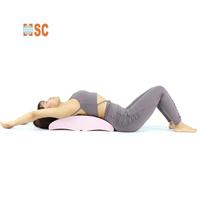 Planche d'équilibre et étireur dorsal 2-en-1 breveté, support lombaire en ABS et acier inoxydable, conception ergonomique, soulagement des douleurs dorsales, thérapie yoga