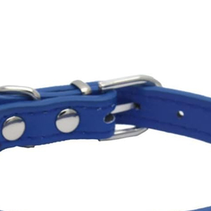 ปลอกคอสัตว์เลี้ยงเดี่ยวแบบปรับได้ปลอกคอสุนัขแบบทนทานหัวเข็มขัดโลหะแบบทนทานดีไซน์2024 - Product Image 2