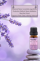 Huile Essentielle de Lavande de Qualité Cosmétique KUATRA 10ml, Extrait Herbal, Expédition Rapide, Extraction de Plante Sauvage Lavandula Angustifolia