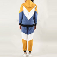 Ensemble de survêtement d'hiver tendance pour femme, coupe classique, en coton uni, avec sweat à capuche et pantalon de jogging, idéal pour l'extérieur et la salle de sport
