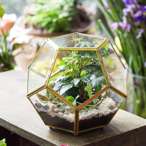 Meilleure qualité d'exportation nouveauté vase en verre enduit noir terrarium géométrique décoration de table jardin mousse taille personnalisée décorer - Product Image 6