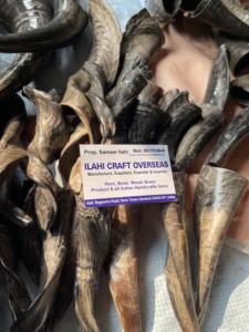 Par de Cuernos de Cabra Naturales con Acabado Natural para Decoración y Manualidades de Alta Calidad - Product Image 4