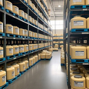 Acheter des noix du Brésil de haute qualité Emballage de style pur naturel en gros élevé Boîtes organiques Type d'origine Écrou séché GRADE - Product Image 6