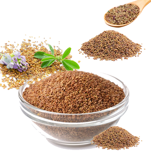 Alfalfa | Forraje limpio con hojas suaves y aroma natural - Product Image 1