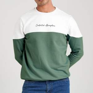 เสื้อสเวตเชิ้ตคอกลมแบบโอเวอร์ไซส์ ผ้าฝ้าย 100% น้ำหนัก 350 แกรม สำหรับผู้ชายและผู้หญิง ปักลาย  แบบไม่มีลาย  ขายส่ง - Product Image 1