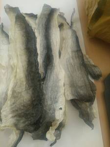 Piel de pescado Basa seca natural de alta calidad OEM piel de pescado Basa Pangacius seca - Product Image 4