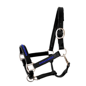 Licou équestre Bling bleu noir cuir véritable cuir cheval cuir licou vente en gros - Product Image 1