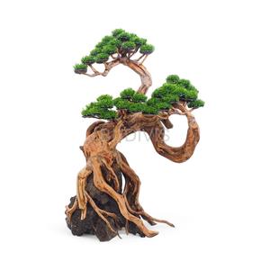 thumbnail image 2 of Bonsai Driftwood Aquarium Tree - 5 Inch Natural Handcrafted Fish Tank Decoration For Aquascaping 2 of 13