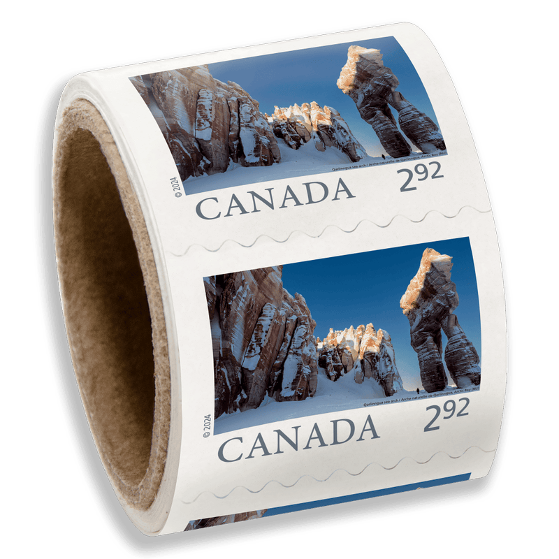 Baia artica $2.92-50 pezzi