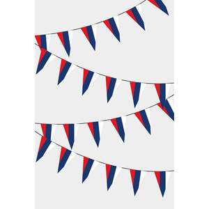 Guirlande de drapeaux russes triangulaires imprimés numériquement, ornement décoratif élégant - Product Image 1