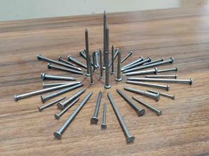 Fabricante de Clavos en Rollo de Acero con Vástago Liso OEM ODM de la India para Techos, Madera y Proyectos de Construcción de Uso Industrial - Product Image 4