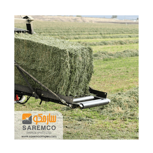 Foin d'herbe de Rhodes naturel pour une alimentation équilibrée favorisant une croissance saine du bétail - Product Image 5