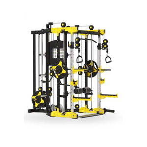 Equipos de gimnasio de bajo precio para venta al por mayor y comercio de exportación en todo el mundo - Product Image 2