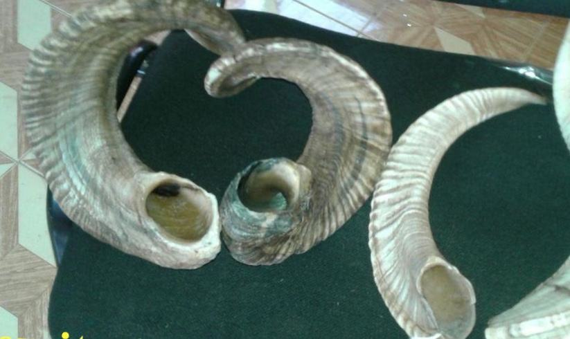 กำหนดเอง