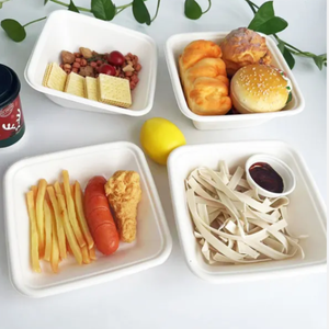 Plateaux de service carrés biodégradables en canne à sucre de qualité supérieure, écologiques, blancs, 7 pouces, 10 oz, personnalisables, 1D, 2D, 4D, achat en gros - Product Image 4