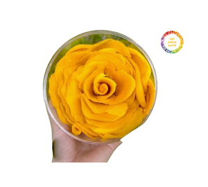 มะม่วงอบแห้งเนื้อนุ่มแบบทรอปิคอล ชิ้นมะม่วงอบแห้งเนื้อเคี้ยวหนึบ คุณภาพสูง ขนมมะม่วงอบแห้ง บรรจุภัณฑ์สำหรับขายปลีก แบรนด์ส่วนตัว รับผลิตแบบ OEM - Product Image 2