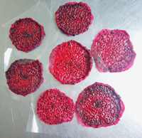 Premium Zacht Gedroogde Pitaya Cirkelvormig Gesneden Tropisch Gedroogd Fruit Voor De Bulk Van De Snackfabrikant