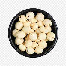 SEMILLAS DE LOTO PELADAS DE PRIMERA CALIDAD PRODUCTO NATURAL A BASE DE PLANTAS PARA EL APOYO DEL SISTEMA INMUNE Y NUTRICIÓN DE ETIQUETA LIMPIA - Product Image 4