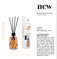 Mangue 100 ml Reed Diffuseur Bâton de bambou Parfum d'intérieur Nouveau Parfum Parfum Fibre Bâton Verre Reed Diffuseur de marque privée