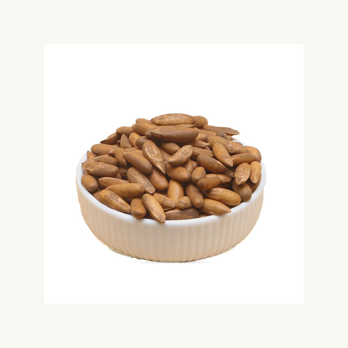Top Grade Pine Nuts Pine Nut Kernels Discount Price / Cheap Modern Dry Fruits Pine Nuts for export Worldwide