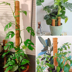 <b>Cover</b> Shipping Fee US Stock 4pcs <b>Plastic</b> Coated Moss Pole Kit with Ties for Monstera Indoor/Outdoor Plant Support - Product Image 3