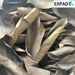 Hojas de Guanábana secas orgánicas naturales Hojas de Guanábana secas 100% Hogar natural - Product Image 4