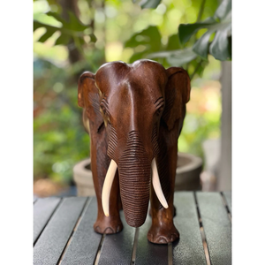Estatua de Elefante de Madera Tallada a Mano de 10 Pulgadas, Decoración de Altar Tailandés, Regalo de la Suerte, Hermosa Estatua de Elefante de Madera Tallada a Mano, Producto de Tailandia - Product Image 1
