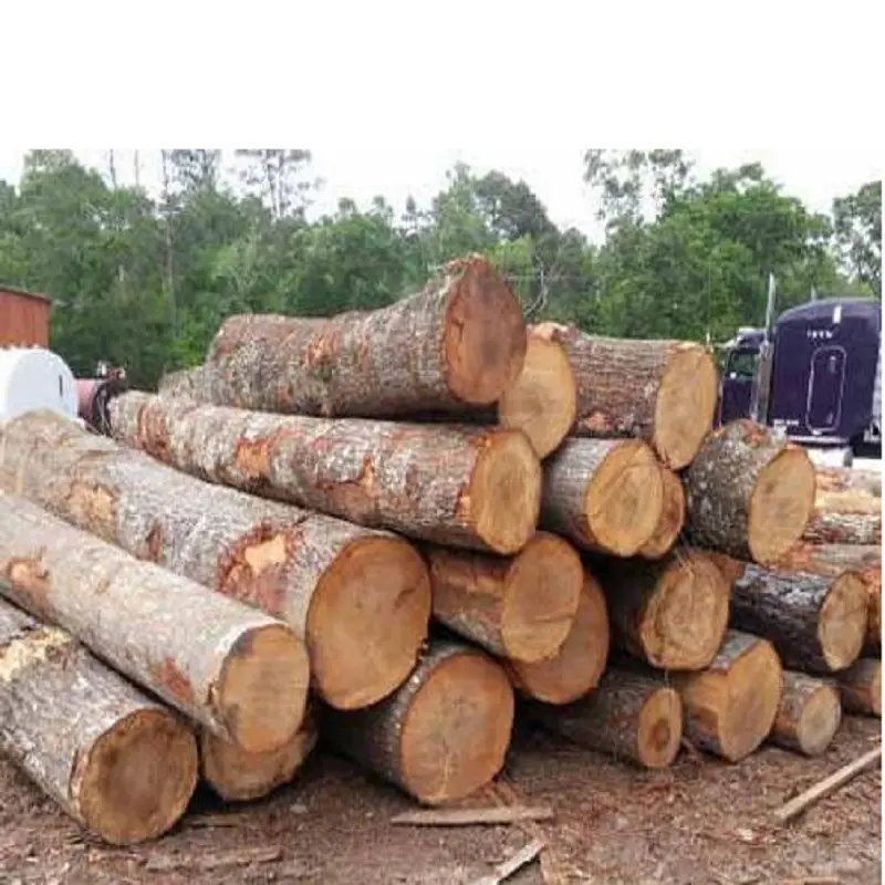 Hyeua-troncos de madera de Amozambique de alta calidad, madera dura redonda, de teca, color negro