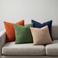 Housse de coussin décorative unie avec design plissé anti-rides à bulles 45x45cm pour la maison et l'hôtel