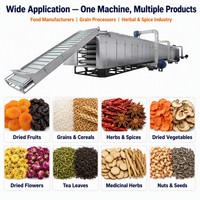 Energiebesparende gaasbanddroger SUS304 400-2000kg/uur Continue fruit- en groentedroger Meerlaagse industriële droogmachine