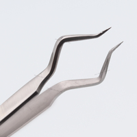 Pince à épiler professionnelle en acier inoxydable de qualité chirurgicale, logo personnalisé, pointe lisse, longueur 10 mm, pointe précise et durable pour cils