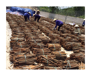 Canela seca de Casia dividida a bajo precio de Vietnam a pedido - Product Image 1