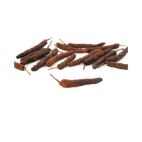 Poivre long de la meilleure qualité, Madura Indonésie, Star Laboratories, récolté directement dans le jardin, boîtes de 10-25 kg, durée de conservation de 2 ans, Surabaya