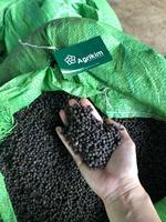 Poivre noir cru séché de qualité supérieure 550gl MC, saveur épicée et savoureuse, prix raisonnable, provenant du Vietnam