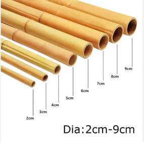 Estacas de bambú procesadas a medida | Para soporte de vivero de viñedo de tomate | Bastones secos y rectos - Product Image 6