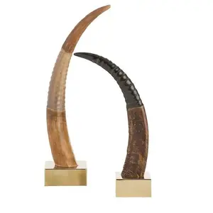 Modern Bull Horn Decorative Show Piece Natural Bull Horn for Home Decoration from India by Crafts Calling