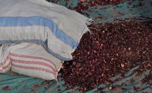 Premium Fleurs d'hibiscus séchées en gros pour tisane Produits agricoles - Product Image 5