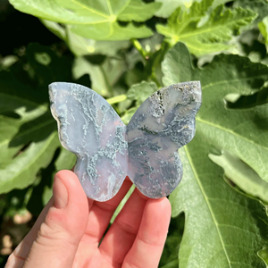 Estatuilla de piedras preciosas talladas a mano de mariposa 3D de ágata de musgo natural para decoración de cristal curativa regalos espirituales y colección de energía - Product Image 4