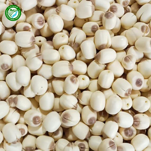 Semillas de loto blanco de alta calidad, producto de agricultura seca natural de Vietnam al mejor precio - Product Image 3