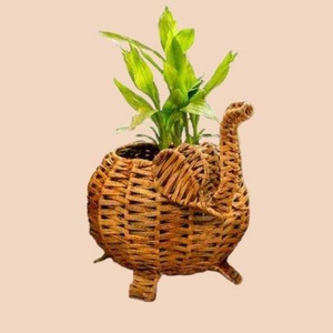 Panier de rangement en rotin tissé à la main en jacinthe d'eau naturelle de forme carrée - Product Image 4