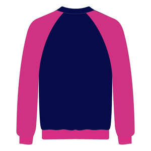 Delta Psi Rho Sorority manga raglán cuello redondo sudadera rosa algodón Poly año de fundación 2020 Jumper vida griega ropa Casual - Product Image 3