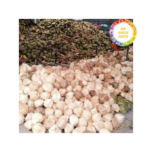 Copra de coco blanco medio cortado seco comestible al por mayor de calidad superventas Copra de coco al por mayor de Vietnam - Product Image 2