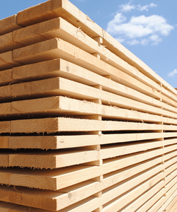 Madera de Pino Tratada F7/MGP10 H3 90 x 45 mm - Product Image 6