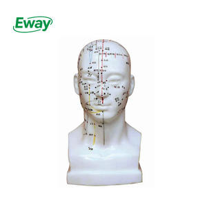 نموذج الوخز بالإبر والرأس 22 من الطب الصيني لتدريس نموذج نقطة الوخز بالإبر - Product Image 1